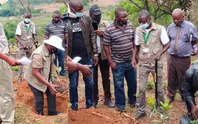 National Tree Planting Day