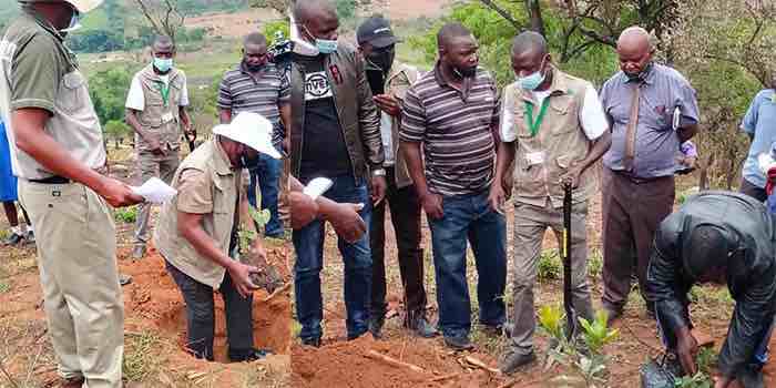 ZCF national tree planting day